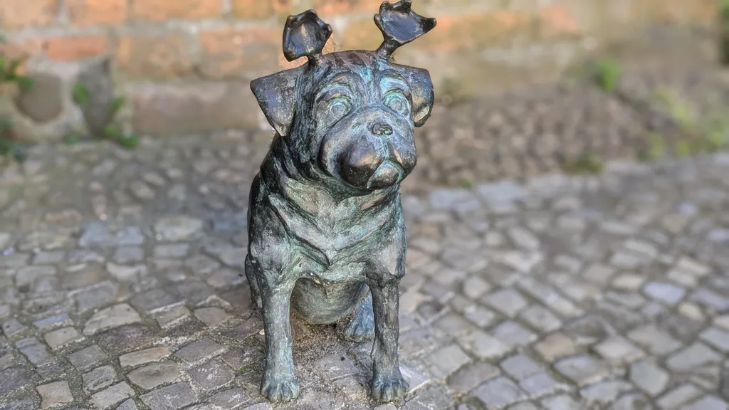 Brandenburg/Havel Stadtführung  individuelle Stadtführung