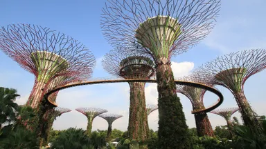 Singapur Erlebnistour: Naturabenteuer & Highlights Stadtführung Singapur Erlebnistour: Naturabenteuer & Highlights Stadtführung