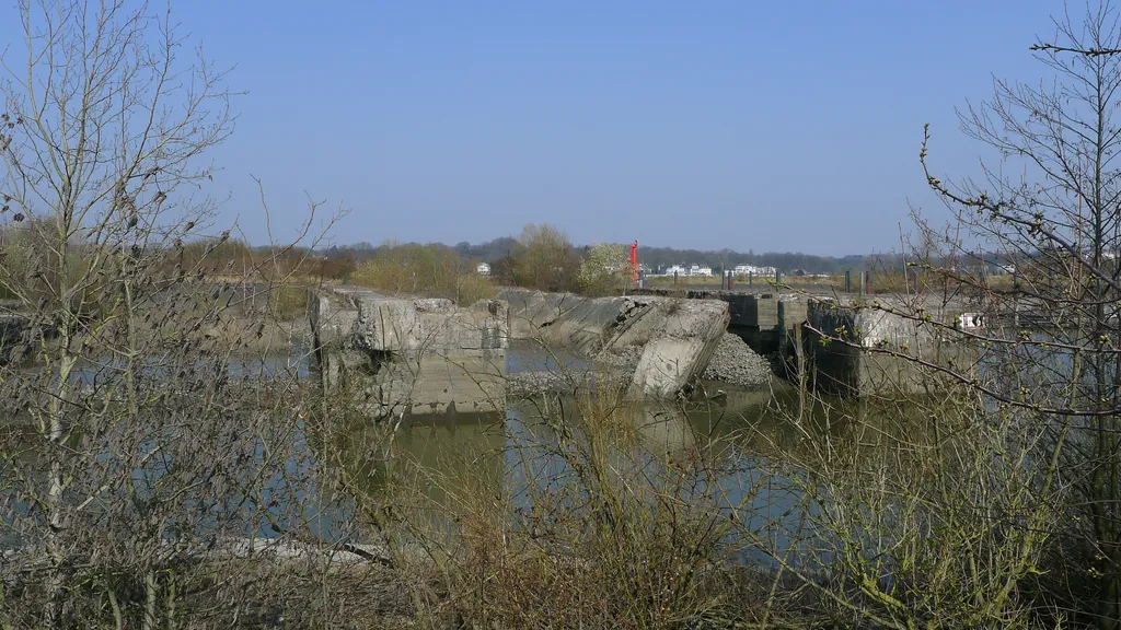 Finkenwerder Führung Insel-Spaziergang  individuelle Stadtführung