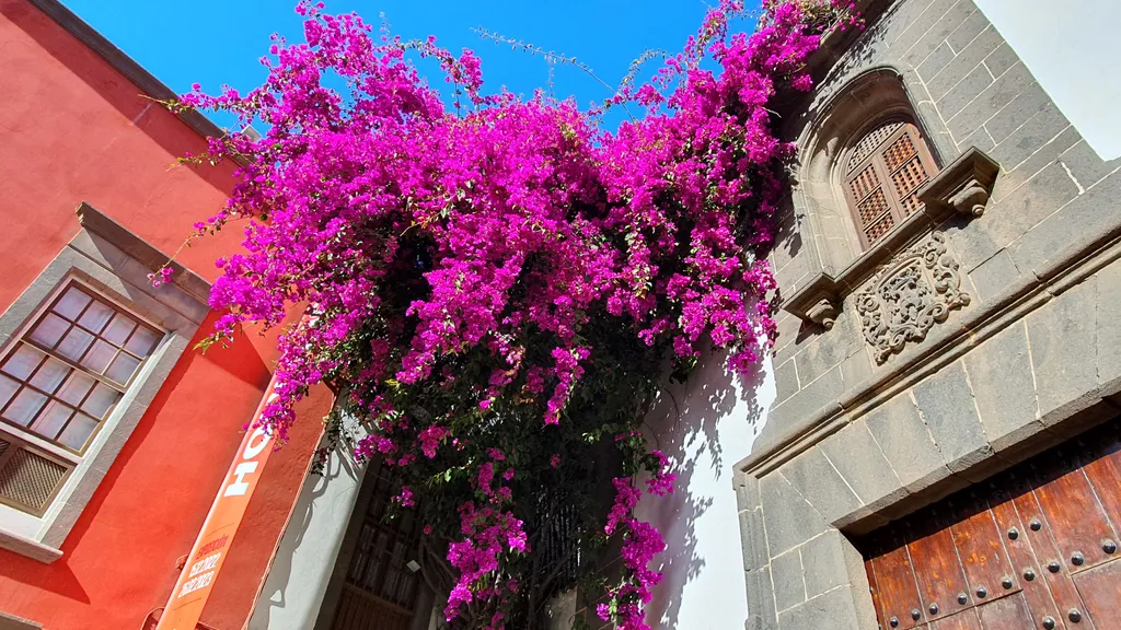 Highlights in der Altstadt von Las Palmas individuelle Stadtführung