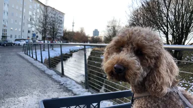 Spaziergang im historischen München Milbertshofen Stadtführung Spaziergang im historischen München Milbertshofen Stadtführung