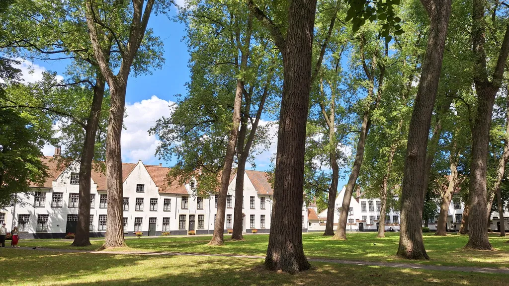 Altstadt Brügge Tour: Strobrug bis Minnewaterpark individuelle Stadtführung