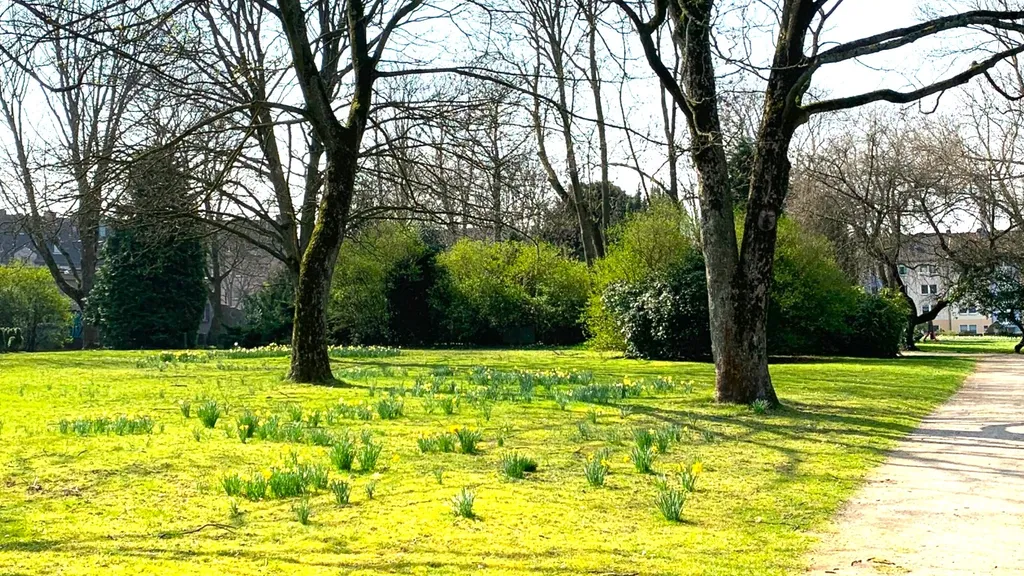 Ein Tag in der Herner Innenstadt individuelle Stadtführung