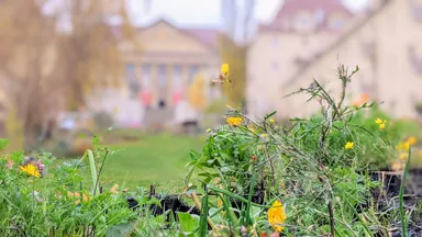 Kassel mal kurz? Die Goethe to go! Stadtführung