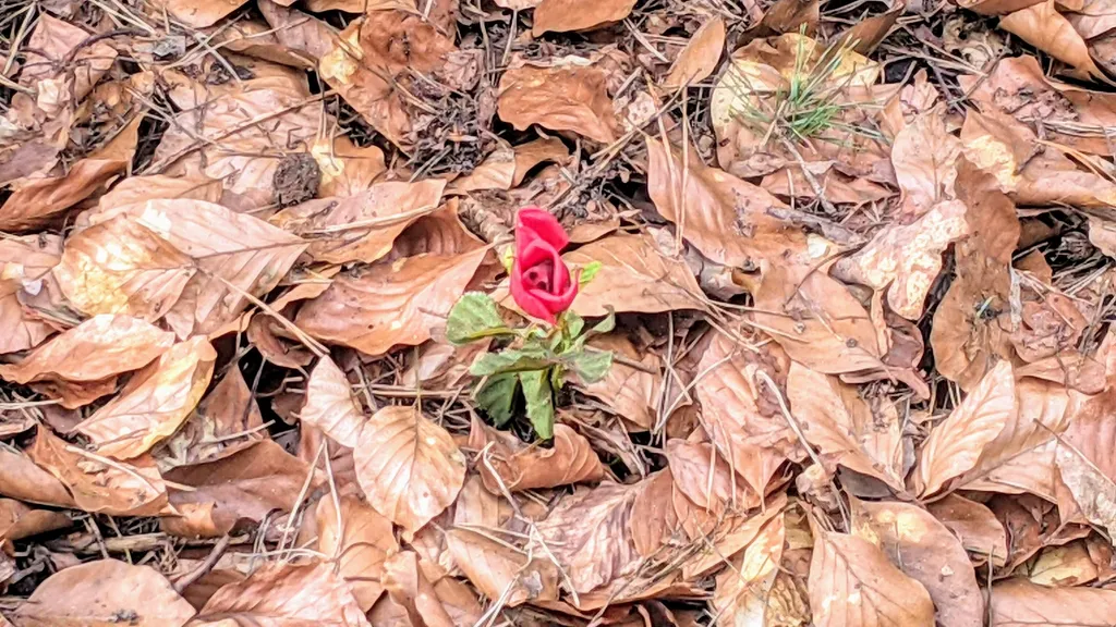 Stahnsdorf Friedhof Südwestkirchhof Promi Führung individuelle Stadtführung