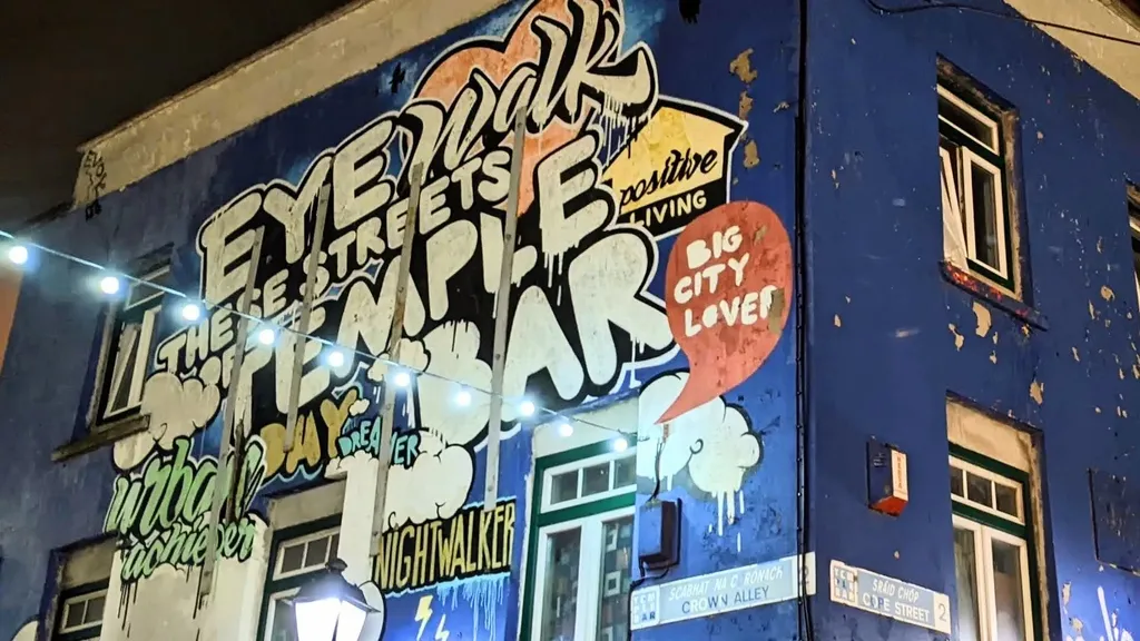 Temple Bar bei Nacht: Pub & History Tour in Dublin individuelle Stadtführung