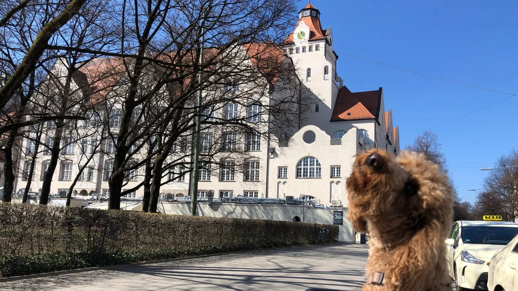 Sightseeing Spaziergang durch München Schwabing individuelle Stadtführung