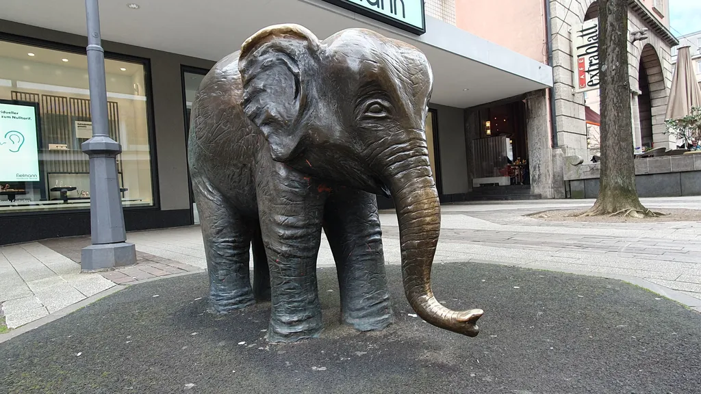 Wuppertal: Bummel durch Barmen individuelle Stadtführung