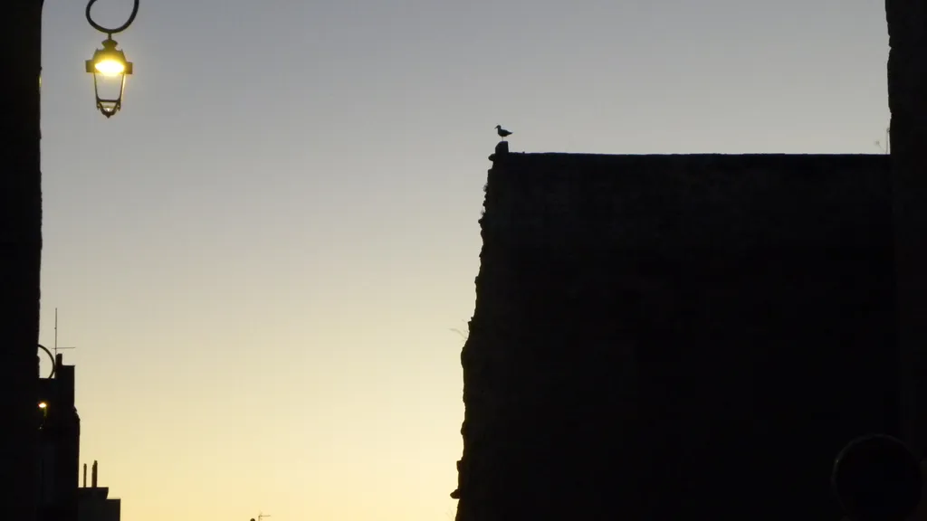 Tagestour Marseille Highlights & Geheimnisse individuelle Stadtführung