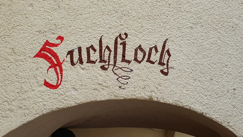 Malerisches Cochem: Mittelalter, Wein & Franzosen individueller Stadtrundgang