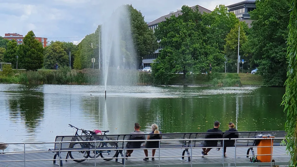 Kiel Sightseeing, Altstadt und Hafen Führung individuelle Stadtführung