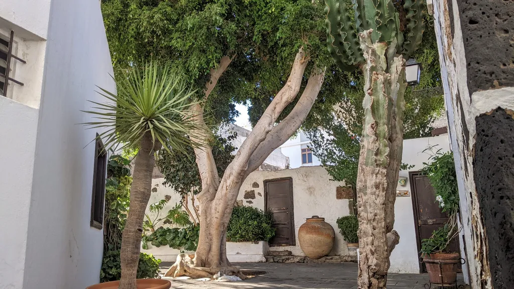 Lanzarote Arrecife Rundgang Hafen und Altstadt individuelle Stadtführung