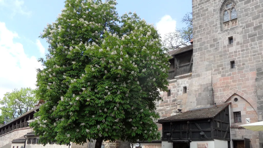 Nürnberg Altstadt Führung für Familien individuelle Stadtführung