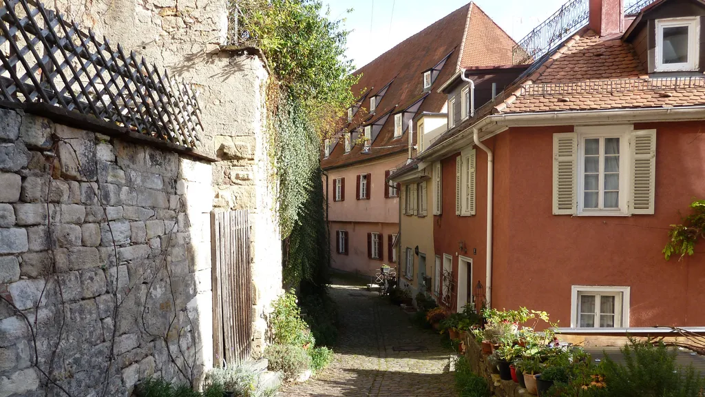 Tübingen Altstadt Führung Schloss - Neckarbrücke individuelle Stadtführung