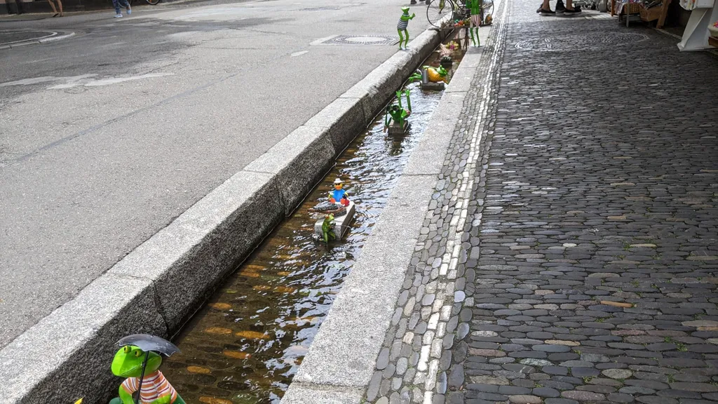 Freiburg Stadtführung Altstadt individuelle Stadtführung