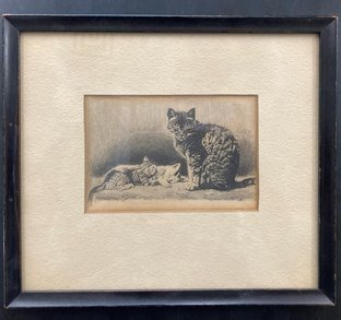 Hidden treasure from the CCA archive’s art collection. An etching from 1876 #librarycats #ccarts