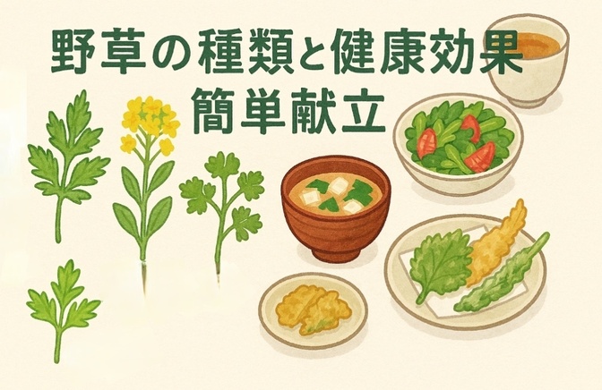 野草の種類と健康効果、簡単献立