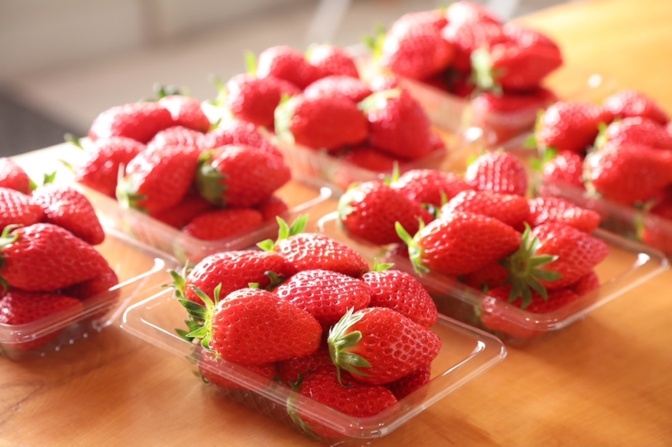 直売所で「完熟いちご」を買うメリット、デメリット🍓