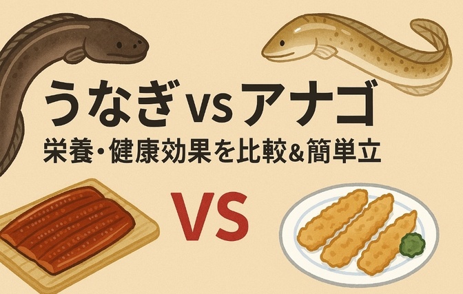 うなぎ vs アナゴ  栄養・健康効果を比較＆簡単献立