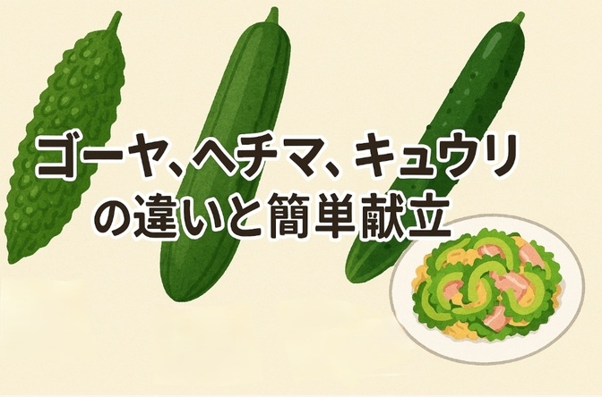 ゴーヤ、ヘチマ、キュウリの違いと簡単献立