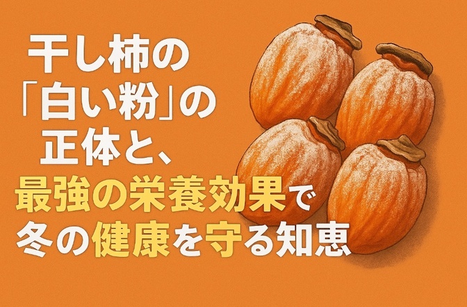 干し柿の「白い粉」の正体と、最強の栄養効果で冬の健康を守る知恵