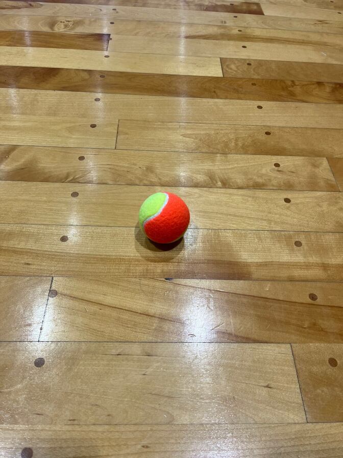 プクプクシールが欲しい小学校１年生が解説：ジュニアテニスの大変な所