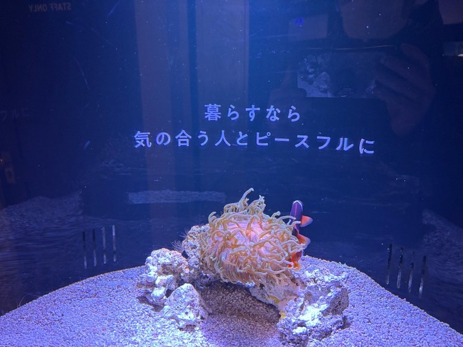 人間関係の棚卸しは、ガチのアンチエイジング戦略だった