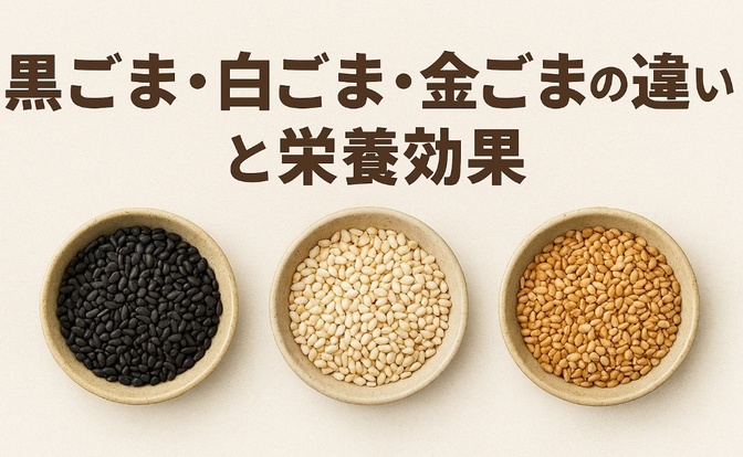 黒ごま・白ごま・金ごまの違いと栄養効果  