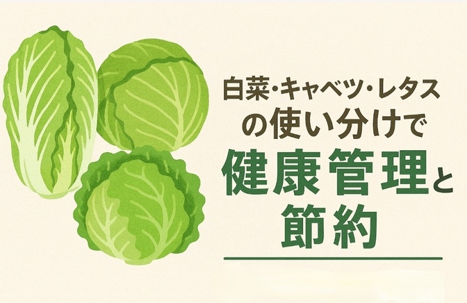 白菜・キャベツ・レタスの使い分けで健康管理と節約