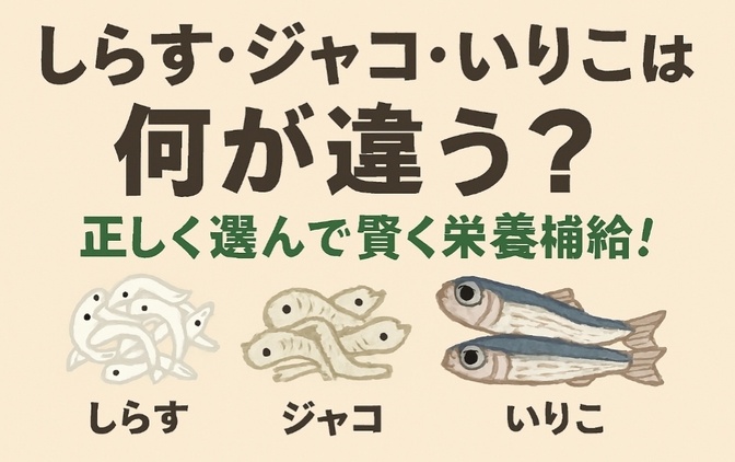 しらす・ジャコ・いりこは何が違う？正しく選んで賢く栄養補給！