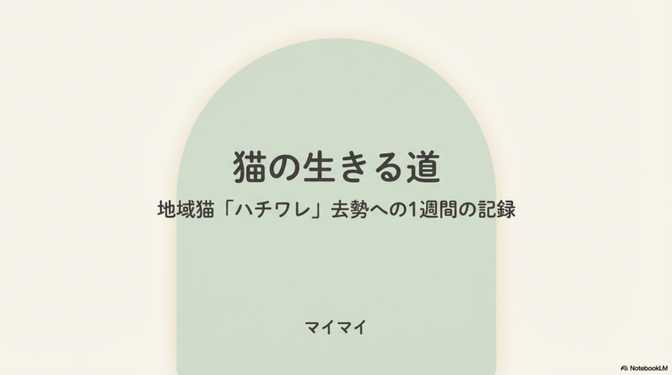 猫の生きる道　ハチワレ去勢に挑む