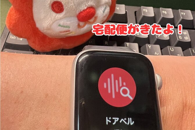 【神機能】イヤホンしててもドアチャイムに気づける！iPhoneサウンド機能