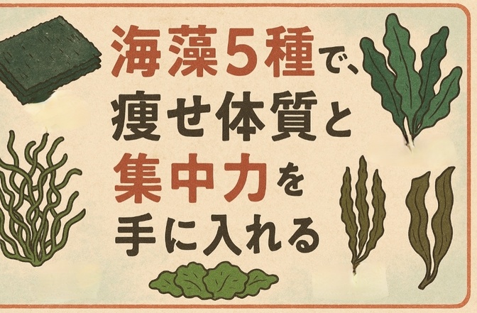 海藻5種で、痩せ体質と集中力を手に入れる