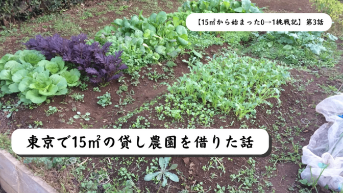 【15㎡から始まった0→1挑戦記】第3話｜東京で15㎡の貸し農園を借りた話