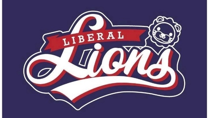 【完全ガイド】リベラルライオンズの全貌🦁⚾️ 〜3つの活動レベルで自分らしく楽しむ〜