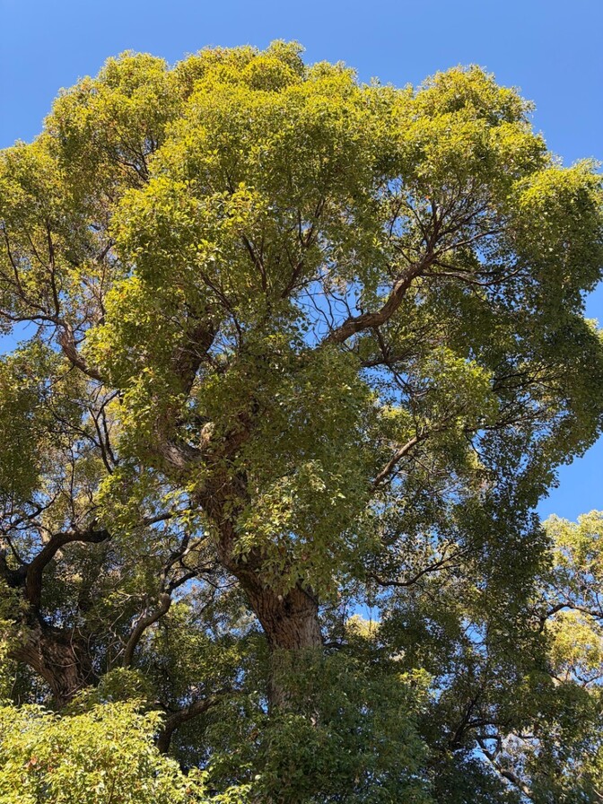 だって不安だし・・・　自分を信頼することの大切さ〜なぜお金を守れないのか、考えてみた〜
