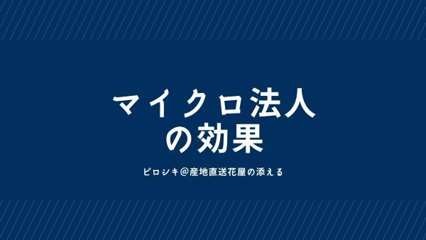 マイクロ法人のシュミレーションしてみました。