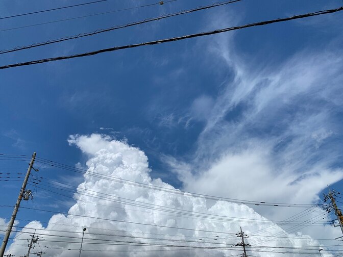 【名言!?】頑張る人の背中をおす！あの夏の先生からの言葉