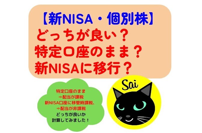 【新NISA・個別株】どっちが良い？特定口座のまま？新NISAに移行？