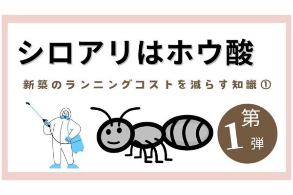 新築で防蟻処理をする際はホウ酸がお勧め