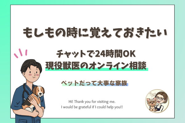 【ペットも大事な家族】もしもの時に覚えておきたい！24時間対応！現役獣医オンライン相談
