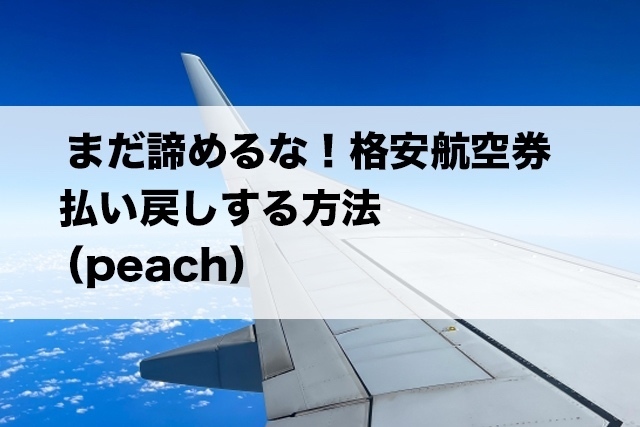 諦めるな！格安航空券を払い戻しする方法（peach）