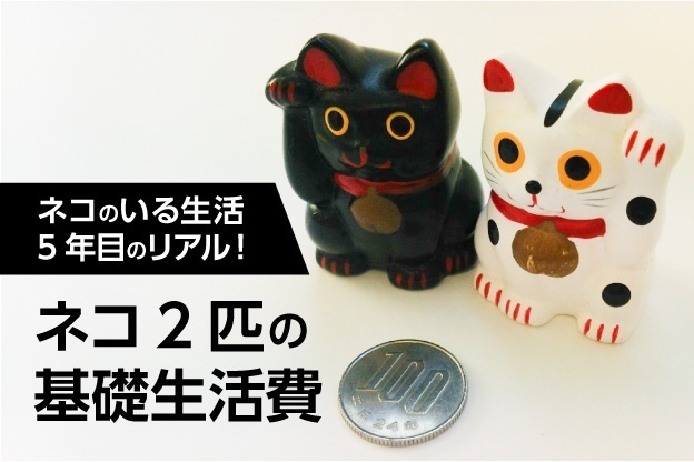ネコいる生活5年目のリアル！ネコ2匹の基礎生活費