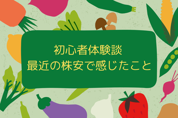 初心者体験談　最近の株安で感じたこと(2024.7.28時点)