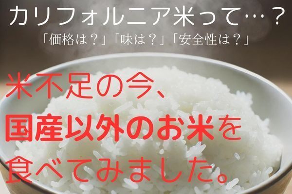 米不足で家計ピンチ！「カリフォルニア米」を食べてみたら、選択肢として十分ありでした