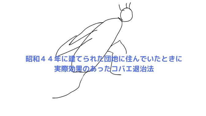 夏に出やすいコバエ撃退法