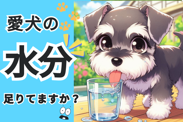 【愛犬の健康】暑さに負けるな！犬の水分補給、まるでバーテンダー気分！