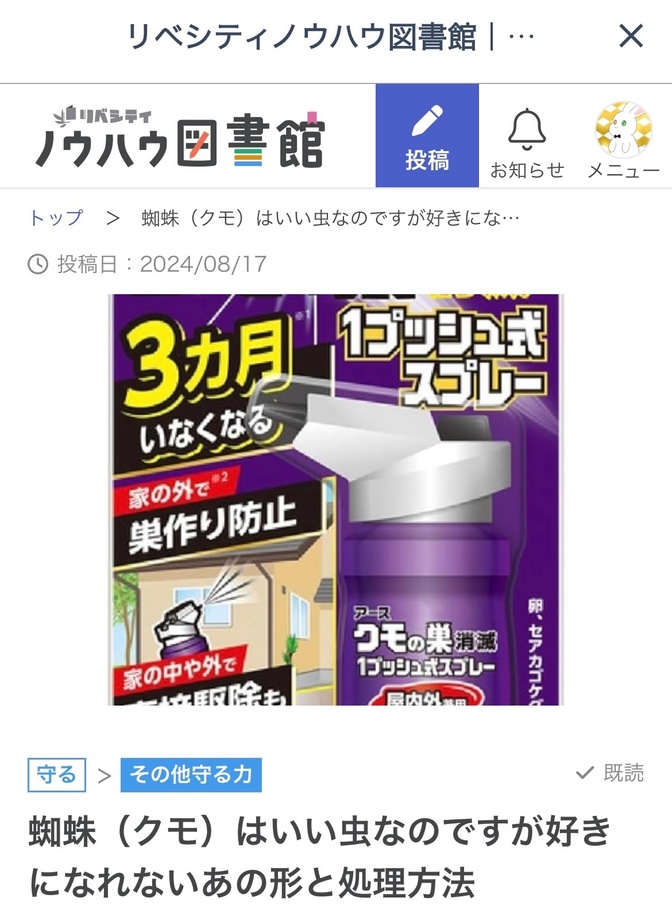 蜘蛛（クモ）が苦手と処理方法