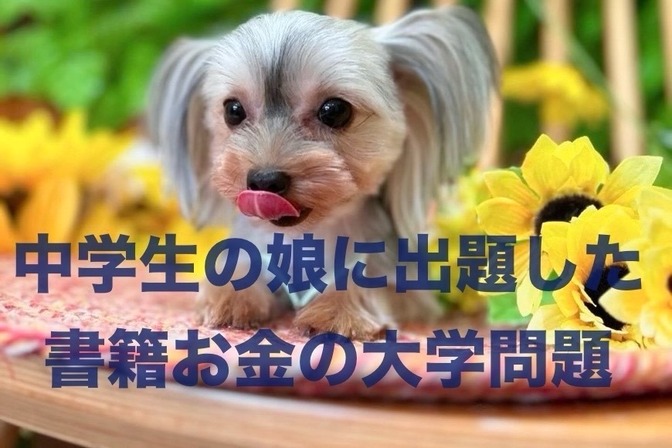中学生の娘に出題した書籍お金の大学問題