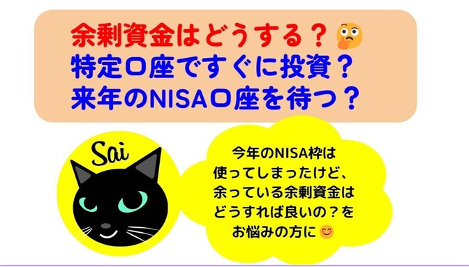 【投資に回せる余剰資金はどうする？】特定口座で即運用？来年のNISA口座まで待つ？
